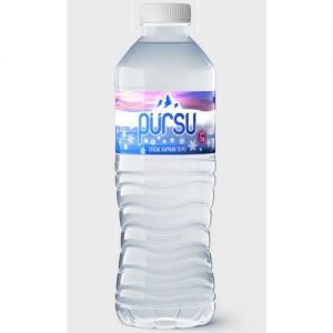 500 ml Pet Şişe